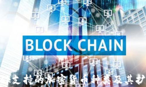 
MetaMask支持的加密货币种类及其扩展性解析